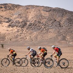 Etapa 5: momento de agitar la carrera