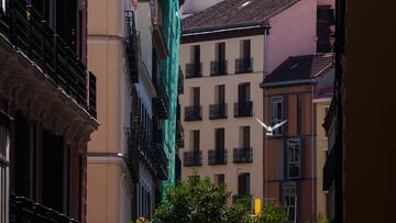 Fachada del edificio que se ha derrumbado, en la zona de Ópera, a 7 de octubre de 2025, en Madrid (España). Tres personas han resultado heridas en el derrumbe parcial de un edificio en obras de seis plantas de la calle de las Hileras, en la zona de Ópera. Un total de once dotaciones de Bomberos del Ayuntamiento de Madrid con la Sección de Apoyo Aéreo y Sección Canina de Policía Municipal buscan a posibles desaparecidos.
07 OCTUBRE 2025
Matias Chiofalo / Europa Press
07/10/2025