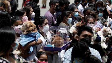 Toque de queda hoy, 14 de octubre, en Perú: a qué hora comienza, hasta cuándo es y multas por salir