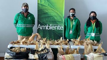 Incautan aletas de tiburón en el aeropuerto El Dorado de Bogotá. Conozca cómo fue el proceso de detención, cuántas aletas fueron y hacia dónde iban enviadas