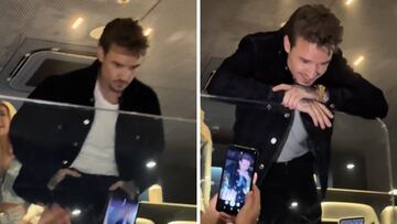 Video: El momento de Liam Payne en el show de Niall Horan en el Movistar Arena en Argentina
