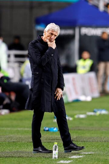 Pékerman en el partido amistoso ante Corea del Sur en noviembre de 2017