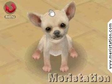 Captura de pantalla - nintendogs_02.jpg