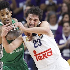 El Madrid ya no es el segundo favorito para ganar la Euroliga