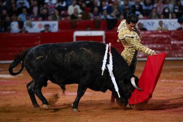 Suspenden corridas de Toros gracias a amparo: qué pasará con las próximas fechas
