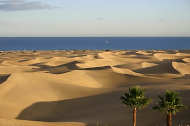 La temperatura del mar ronda los 22º y fuera, se rondan los 24º. En la foto, la playa de Maspalomas. 