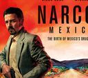 Narcos Mexico, el Cártel de Guadalajara en los estrenos Netflix Noviembre 2018