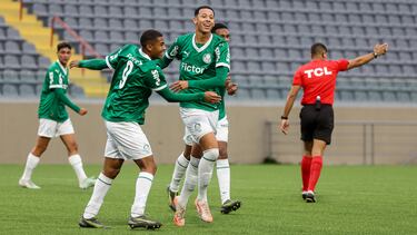 Palmeiras, la mejor cantera de Sudamérica
