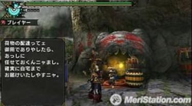 Monster Hunter Portable 3rd, Impresiones