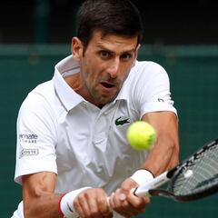 Djokovic y Barty permanecen en lo más alto del tenis mundial