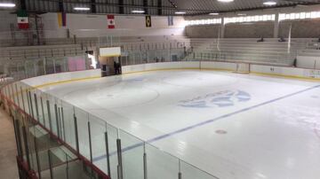 Este recinto, ubicado en Insurgentes Sur, es único en su tipo en la CDMX. La pista de hielo cumple todos los requerimientos internacionales y ha albergado eventos como el campeonato mundial de hockey sobre hielo sub-20. 