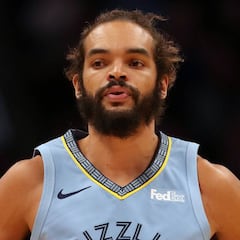 Los Mavs buscan pívot y Noah está en la agenda: las opciones