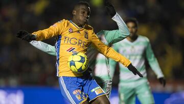 Julian Quiñones: "Tigres, una novia que nunca dejé de amar"