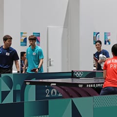 In which disciplines has Team USA never won an Olympic medal?