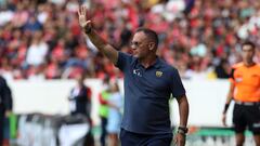 Andrés Lillini: “Pumas recuperó la memoria”