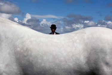 El juez Vincent Holian durante la clase de potra en el Roundstone Connemara Pony Show, en la aldea de Roundstone, Irlanda.