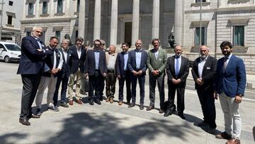 Las federaciones auton¨®micas, en el Congreso de los Diputados