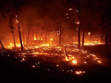 Incendio forestal en Carcastillo, Navarra (España).