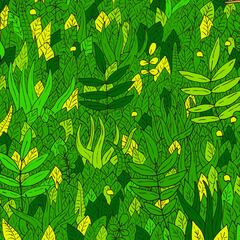 Reto visual: ¿Puedes encontrar la serpiente escondida en la jungla?