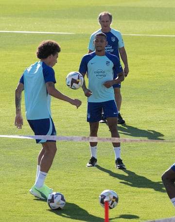 Lino y Witsel.