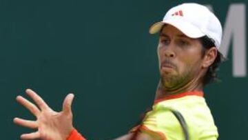 Fernando Verdasco.