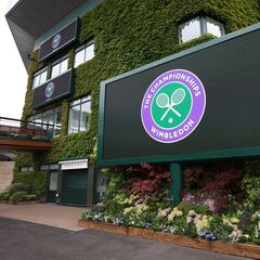 Wimbledon 2024 draw: full schedule, times, players, how to watch