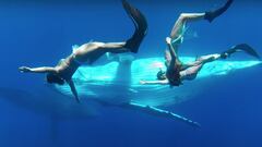 Tres chicas en bikini nadan junto a una ballena.