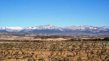 Paisaje de viñedos riojano