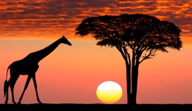 Los atardeceres más románticos del mundo