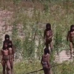 Salen a la luz imágenes de una tribu nunca antes vista: “Una flecha podría volar”