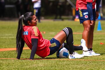 La Selección Colombia Femenina dejó atrás la celebración por clasificar al Mundial y los Juegos Olímpicos y se enfoca en la final de la Copa América ante Brasil este sábado en el Alfonso López de Bucaramanga.