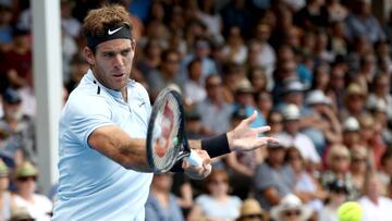 Del Potro cae en la final de Auckland ante Bautista