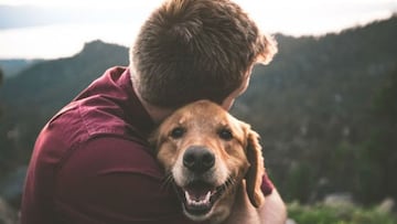 ¿Por qué se dice que el perro es el mejor amigo del hombre?