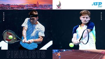 Goffin vuelve a una final en tierra siete a?os despu谷s