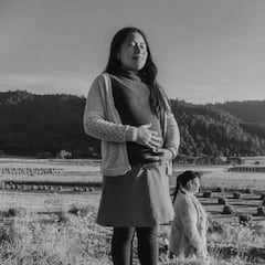 Roma y México invaden los Oscar 2019