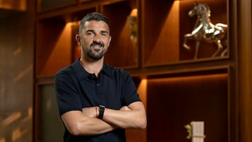 DAVID VILLA