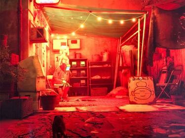 How to get the poncho, cable and detergent in Stray and where to use them?