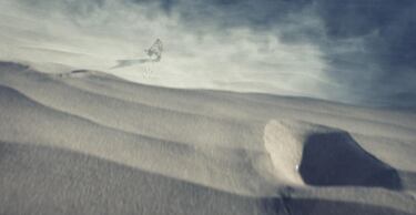 Galería de imágenes: Halo