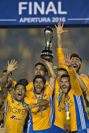 Los Tigres levantan el trofeo de campeón.