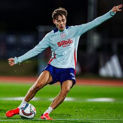 Riquelme se suma a los entrenamientos de la selección; Fabián podrá estar ante Serbia