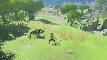 Captura de pantalla - The Legend of Zelda: Breath of the Wild (NSW)