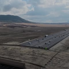 Inauguran el megapuente para animales más grande del mundo: la estructura se extiende sobre una autopista de seis carriles