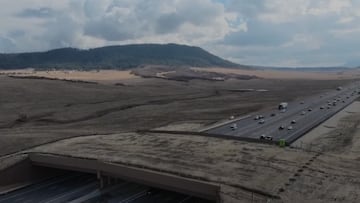 Inauguran el megapuente para animales más grande del mundo: la estructura se extiende sobre una autopista de seis carriles