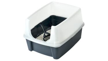 ¿Tienes un gato? Estos 10 productos son básicos para el bienestar de tu primera mascota