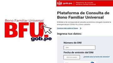 Bono Familiar Universal: cómo saber si todavía puedo recibir la ayuda online