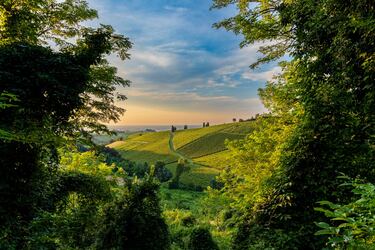World Food Photography Awards 2025: cuando la fotografía se une con la gastronomía 