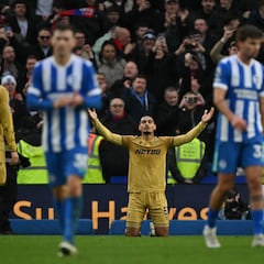 Resumen y goles del Brighton vs Crystal Palace, jornada 25 de Premier League