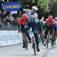 Bauhaus aprovecha el caos