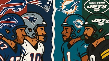 AFC East preview - artist's impression