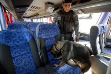 Tres meses antes de la Copa del Mundo de la FIFA, la Policía Militar de Brasilia prepara a los perros que trabajarán en la seguridad del evento, en Brasilia. 23 animales están siendo entrenados para detectar explosivos, drogas y armas. Los perros realizarán entrenamiento en autobuses similares a los utilizados por las delegaciones de los países participantes en Brasil 2014.